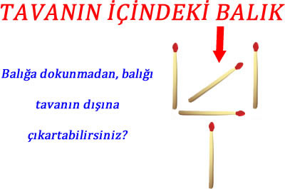 tavanin-icindeki-balik