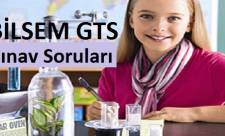 BİLSEM GTS Soruları