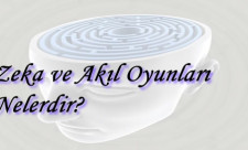 zeka oyunları neler