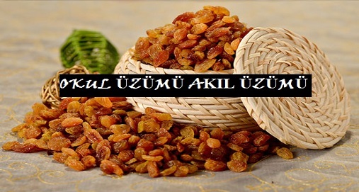okul üzümü