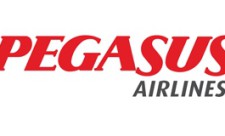 pegasus