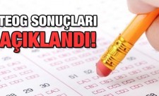 teog sonuçları
