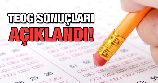 teog sonuçları