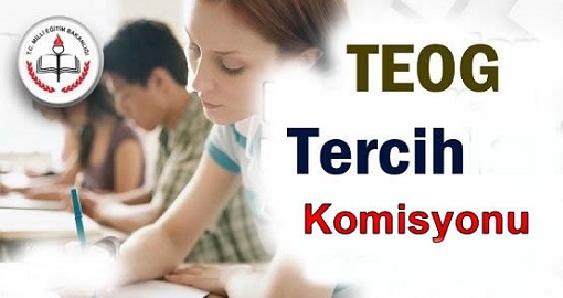 teog tercih danışmanlığı